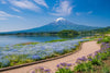 Mount Fuji Private Chartered Day Trip (From Tokyo)