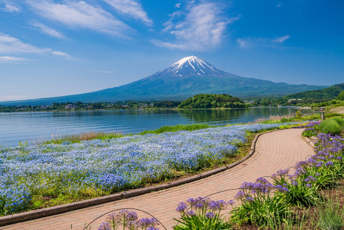 Mount Fuji Private Chartered Day Trip (From Tokyo)