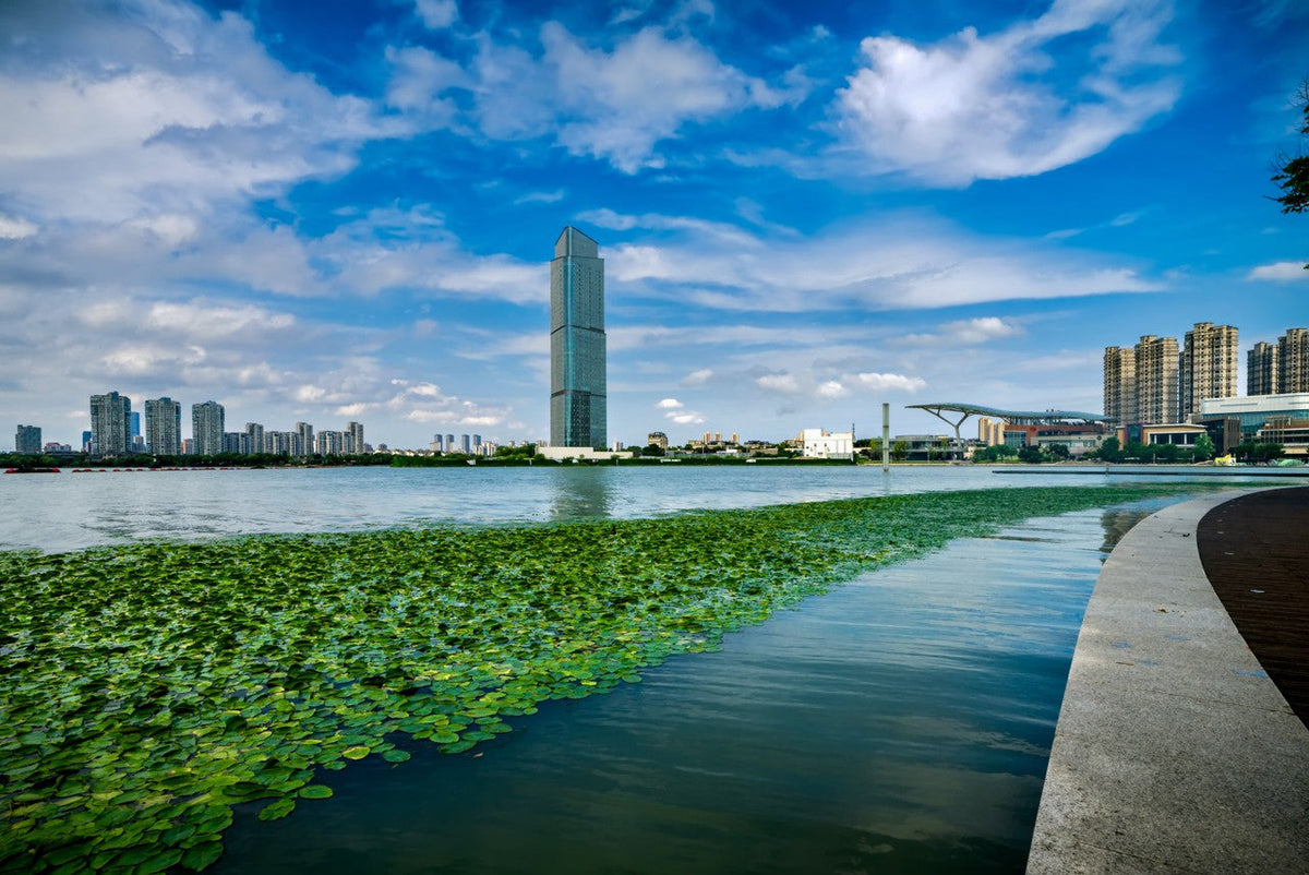 Private Car Charter to Cities Around Shanghai (Suzhou - Wuxi - Wuzhen - Hangzhou - Hengdian - Qiandao Lake)