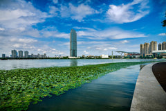 Private Car Charter to Cities Around Shanghai (Suzhou - Wuxi - Wuzhen - Hangzhou - Hengdian - Qiandao Lake)