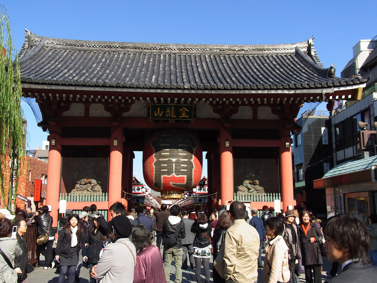 Tokyo City Half Day Customized Private Car Tour