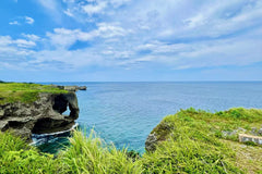 Okinawa: Private Chartered Car - Junglia Jurassic Park - Half - Day Tour - One - Day Tour