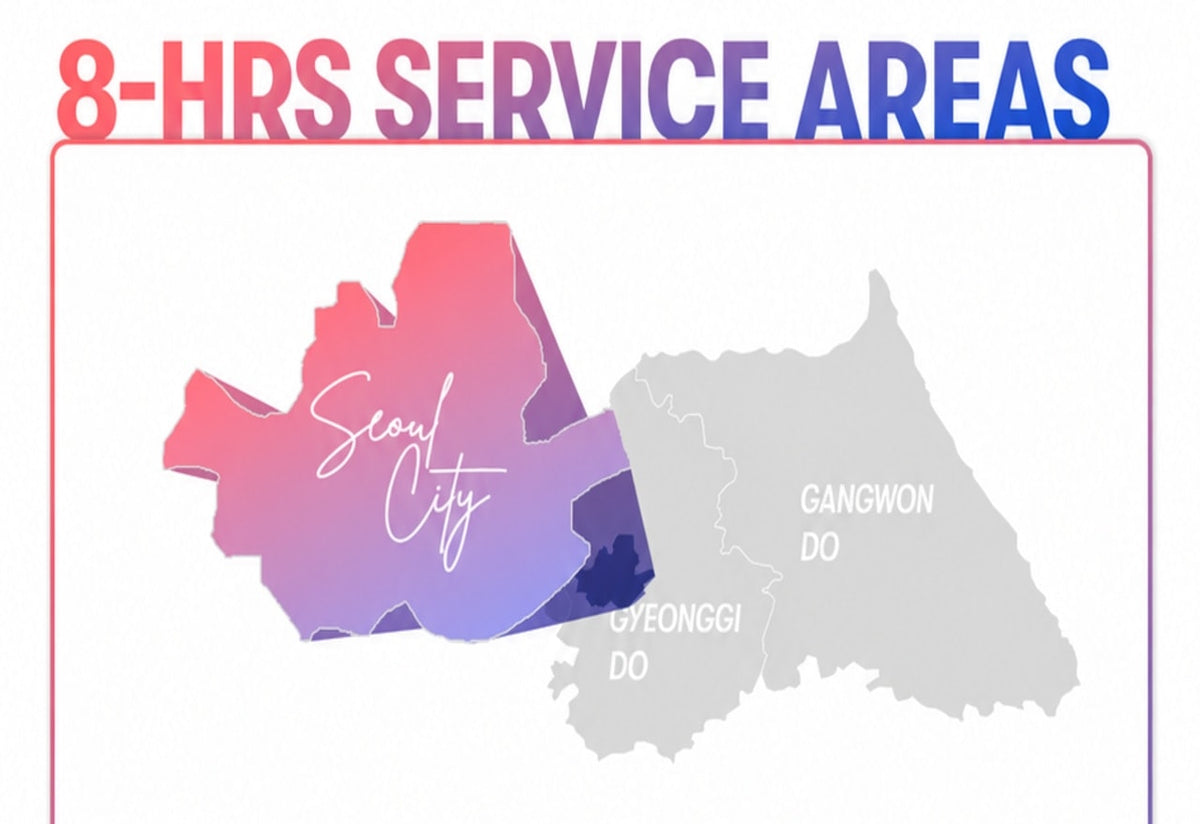 Seoul Private Car Charter to Seoul City - Everland - Nami Island - Alpaca World - Gangchon Rail Park