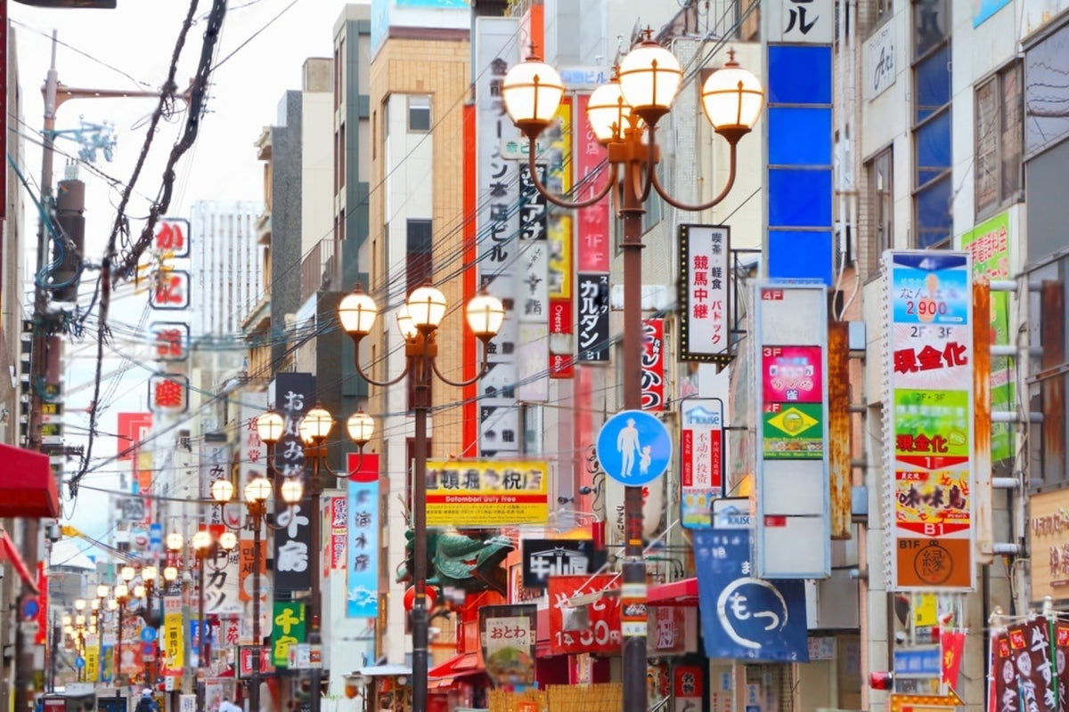 Osaka Famous Tourist Spots Charter Car 1 - Day Tour (Osaka Pick - up)