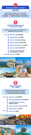 Busan Private Car Charter to Busan Major Spots