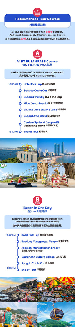 Busan Private Car Charter to Busan Major Spots