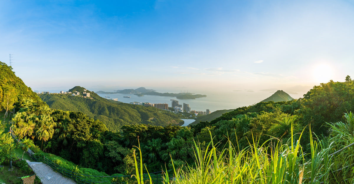 Private Car Day Tour: Victoria Peak & Central & Victoria Park