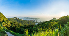 Private Car Day Tour: Victoria Peak & Central & Victoria Park