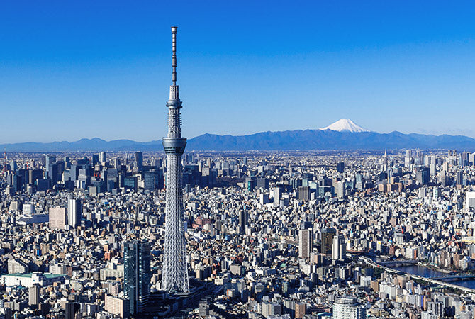 Tokyo Private Chartered Car Day Tour (Customizable Itinerary)