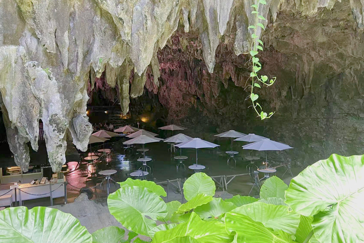 Okinawa: Private Chartered Car - Junglia Jurassic Park - Half - Day Tour - One - Day Tour