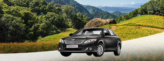 Hualien Departure: Hualien Car Rental with Driver to Daylily Season - Chike Mountain - Sixty Stone Mounta