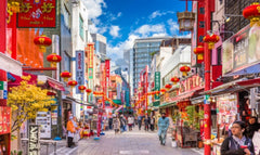 10 - Hours Kobe Private Car Tour with Driver (From Osaka)