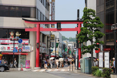 Kamakura Great Buddha & Hakone Shrine Transfer & Private Car Day Tour