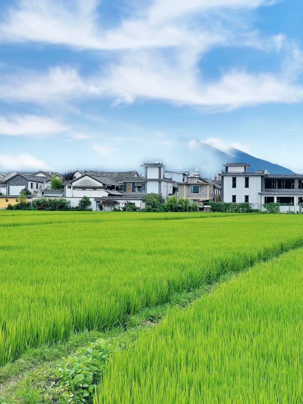 Private Car Charter Tour: One - Day Tour of Erhai Lake, Dali, Yunnan