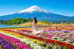 (Mount Fuji Popular Photo Spots Private Customized Charter) Mount Fuji Arakurayama Sengen Park & Hikawa Clock Shop & Lawson Convenience Store & Oshino Hakkai & Oishi Park Day Trip Hotel Pickup and Drop - off from Tokyo