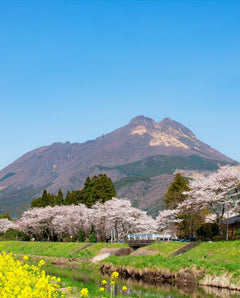 Fukuoka Chartered Day Tour | Chinese Driver and Guide · 10 - Hour Private Transfer | Multiple Routes Available or Customizable in Fukuoka - Nagasaki - Oita - Kumamoto - Takachiho