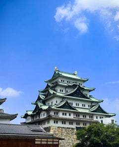 [Nagoya Chartered Car Day Trip] (Green License Plate 7 - seater - 10 - seater, Port - Airport - Hotel Transfer, Japanese - speaking Driver Customized)