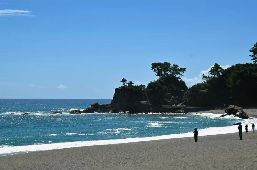 [Kochi Chartered Car] Katsurahama + Makino Botanical Garden + Chikurin - ji Temple + Godaisan Observatory - Day Trip Chartered Car (Customized - Free Arrangement of Itinerary)