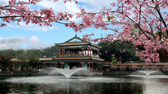 Private Car Charter Tour to Baomo Garden & Shawan Ancient Town One Day Tour