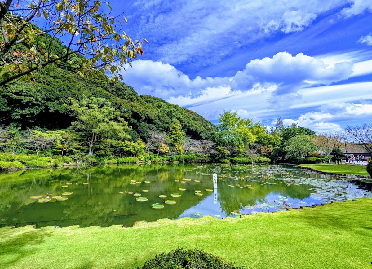 Fukuoka Full - Day Private Chartered Tour