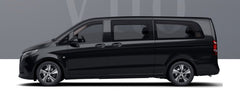 Xi'an Attractions Private Car Charter (Chinese - English Service)