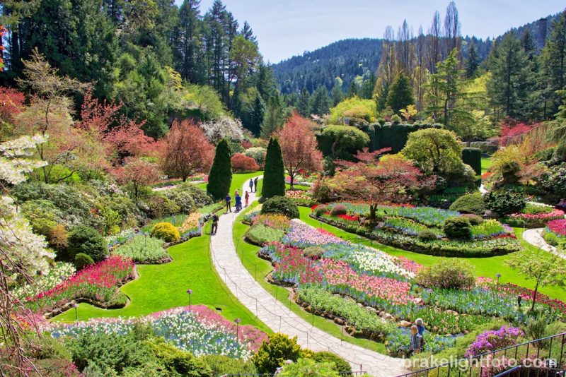 Victoria Private Car Charter One - Day Tour