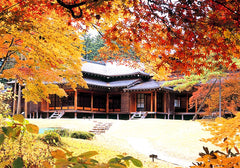 Tokyo Departure | Nikko - Karuizawa - Gunma - Yokohama Customized Private Car Charter Day Trip