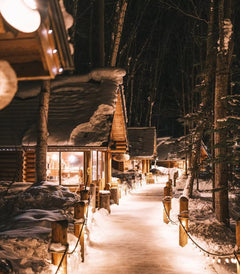 [Hokkaido Deep Tour Chartered Car] Asahikawa Biei Furano Asahikawa Round Trip Customized