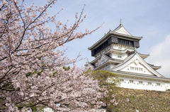 Fukuoka private car charter service: Mojiko, Karato Market, Kokura Castle, Miyajidake Shrine, Munakata Taisha, Kawachi Wisteria Garden, Sarakurayama night view, etc.