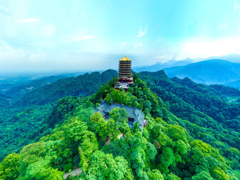 Private Car Tour: Chengdu to Dujiangyan - Mount Qingcheng One - Day Private Car Tour