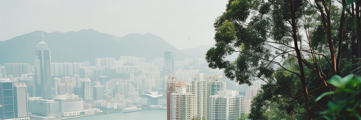 Private Car Day Tour: Victoria Peak & Central & Victoria Park