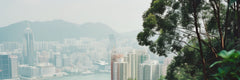 Private Car Day Tour: Victoria Peak & Central & Victoria Park