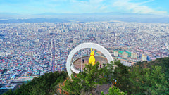 Daegu Chartered Car Private Taxi Tour from Daegu