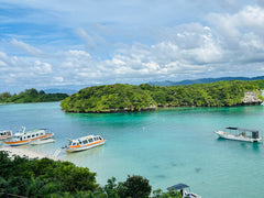 Ishigaki Island Private Customizable One Day Charter Tour