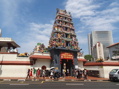 Singapore Private Car City Half - Day Tour