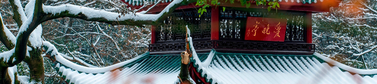 Changsha Private Car Tour One Day Trip