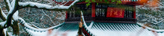 Changsha Private Car Tour One Day Trip