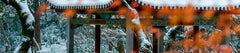 Changsha Private Car Tour One Day Trip