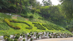 [One - day Tour] Seoul Car Charter to Hwadam Forest - Korean Folk Village - Gwangmyeong Cave - Ludensia - Suwon Hwaseong Fortress - Suwon Starfield Library