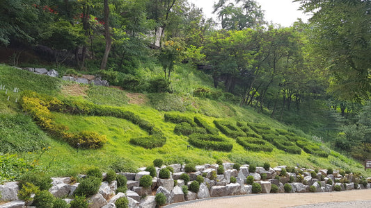 [One - day Tour] Seoul Car Charter to Hwadam Forest - Korean Folk Village - Gwangmyeong Cave - Ludensia - Suwon Hwaseong Fortress - Suwon Starfield Library