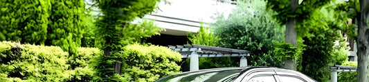 Nanjing City Cherry Blossom Chartered Tour