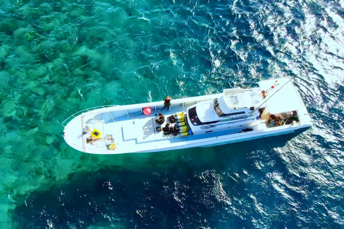 Private Charter Boat Fishing & Trolling Experience in Okinawa