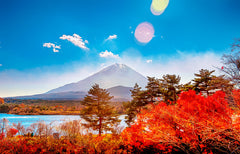 Mount Fuji - Hakone - Kamakura Private Car Day Tour (Hotel pick - up and drop - off - Multiple vehicle options available)