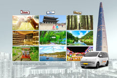 Seoul Private Car Charter to Seoul City - Seoul Suburb - Gangwon - do (Nami Island - Alpaca World - Sokch
