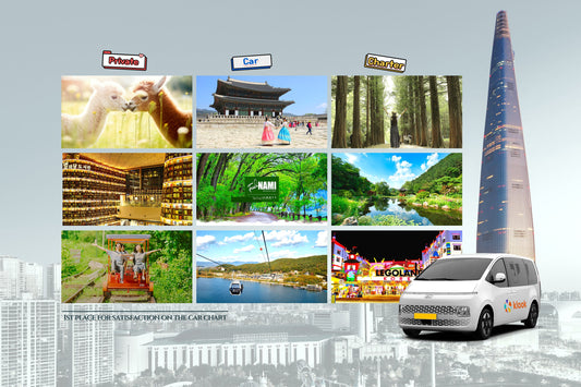 Seoul Private Car Charter to Seoul City - Seoul Suburb - Gangwon - do (Nami Island - Alpaca World - Sokch