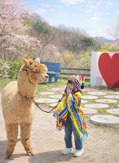 9-Hour Private Car Charter to Nami Island Suburb - Alpaca World from Seoul