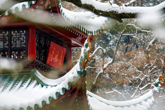 Changsha City Private Car Charter (1 Day)