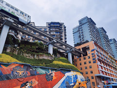 Chongqing 8 - Hour Private Car Charter Day Tour