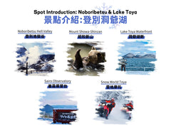 Hokkaido Private Customized Charter (Sapporo - Otaru - Noboribetsu - Biei - Furano - New Chitose - Niseko, etc. + Chinese - Japanese Driver + Toyota Alphard - Hiace Models + Green Plate Commercial Vehicle)