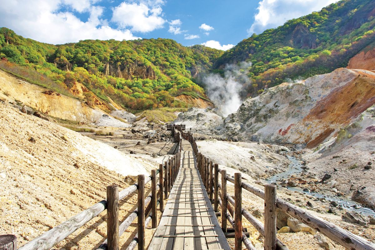 Hokkaido | Sapporo City - Furano - Lake Toya - Otaru Customized Private Car Day Tour